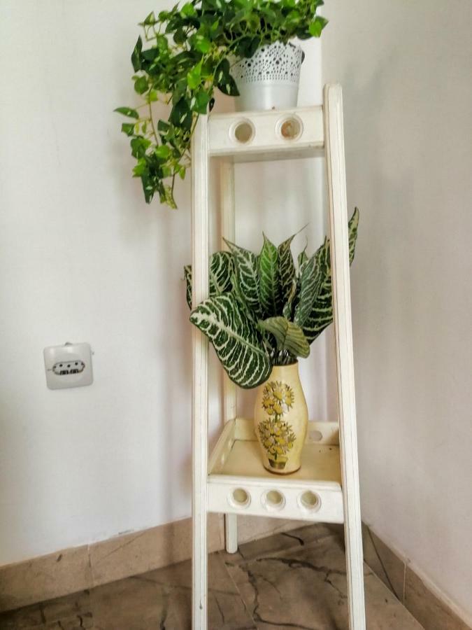 Apartman Damir Sumartin Kültér fotó